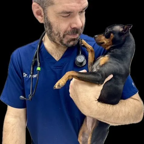 Dr. Seth Kiser, DVM, Owner and Medical Director at Pet Emergency Center