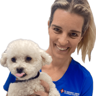Dr. Renata Schneider, DVM, Veterinarian at Pet Emergency Center